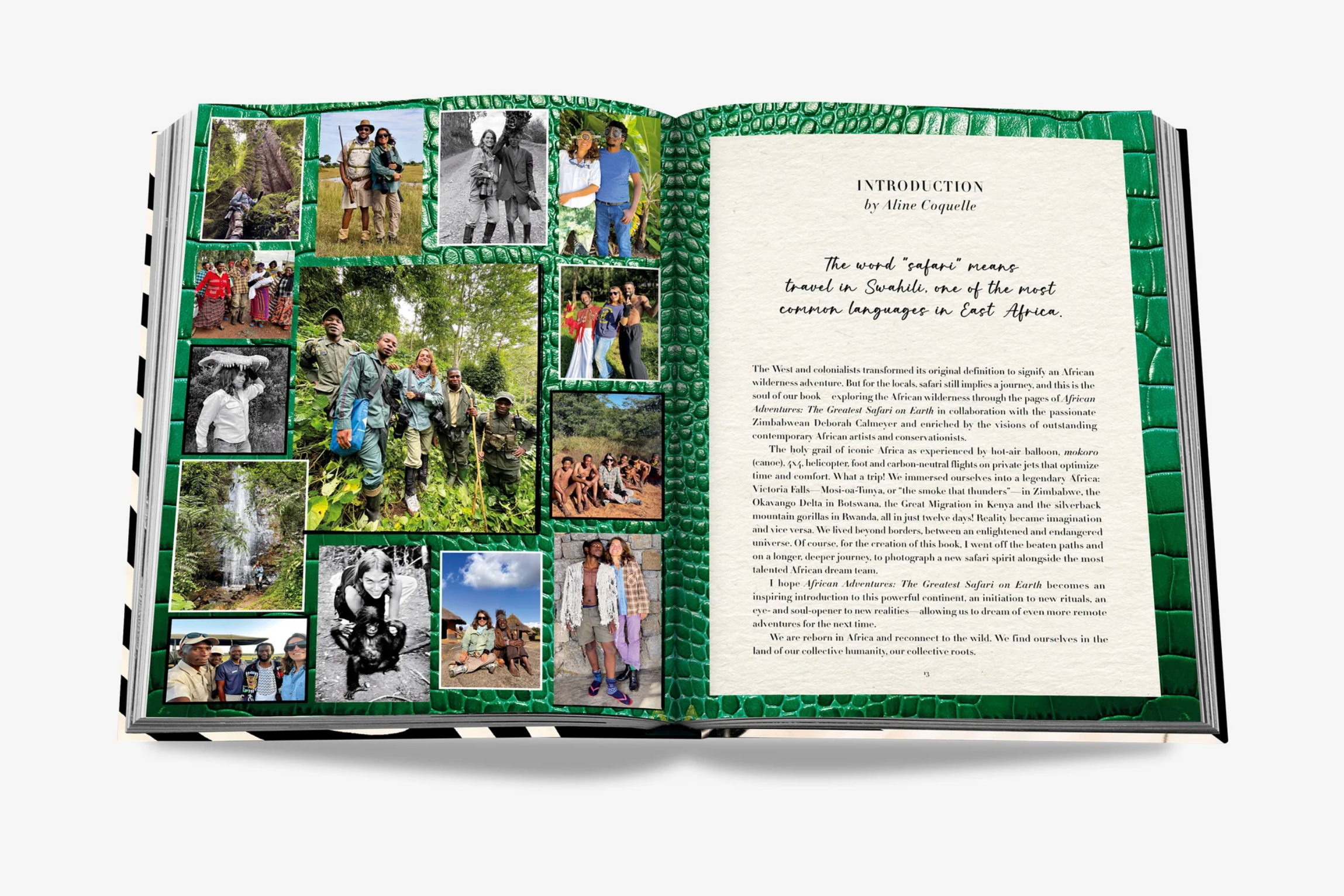 African Adventures: The Greatest Safari on Earth
