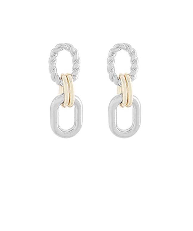 Two-tone Linked Oval Earrings