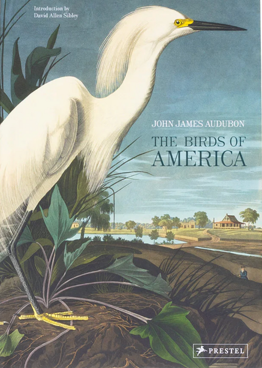 Birds of America