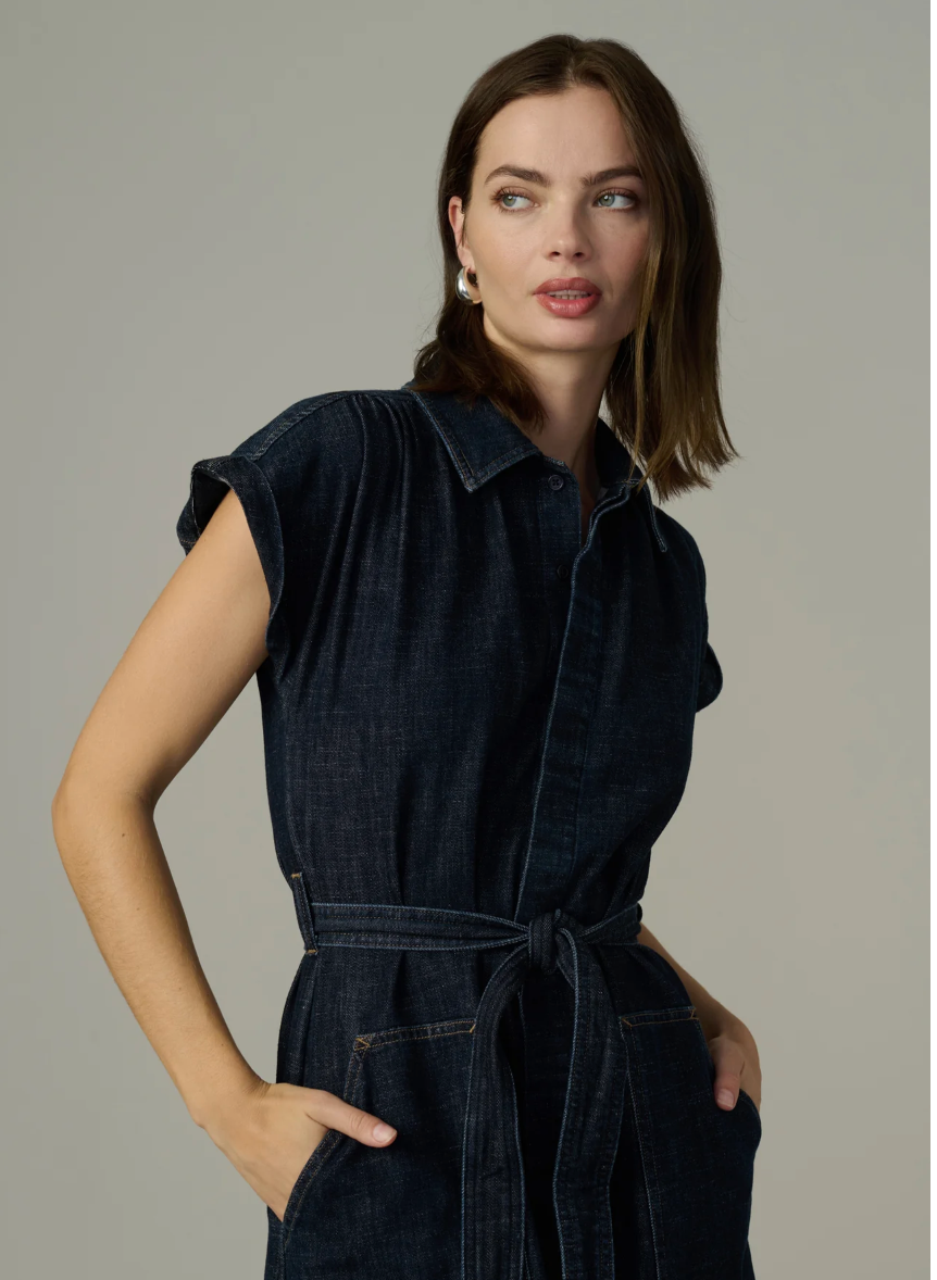 The Lexi Denim Dress