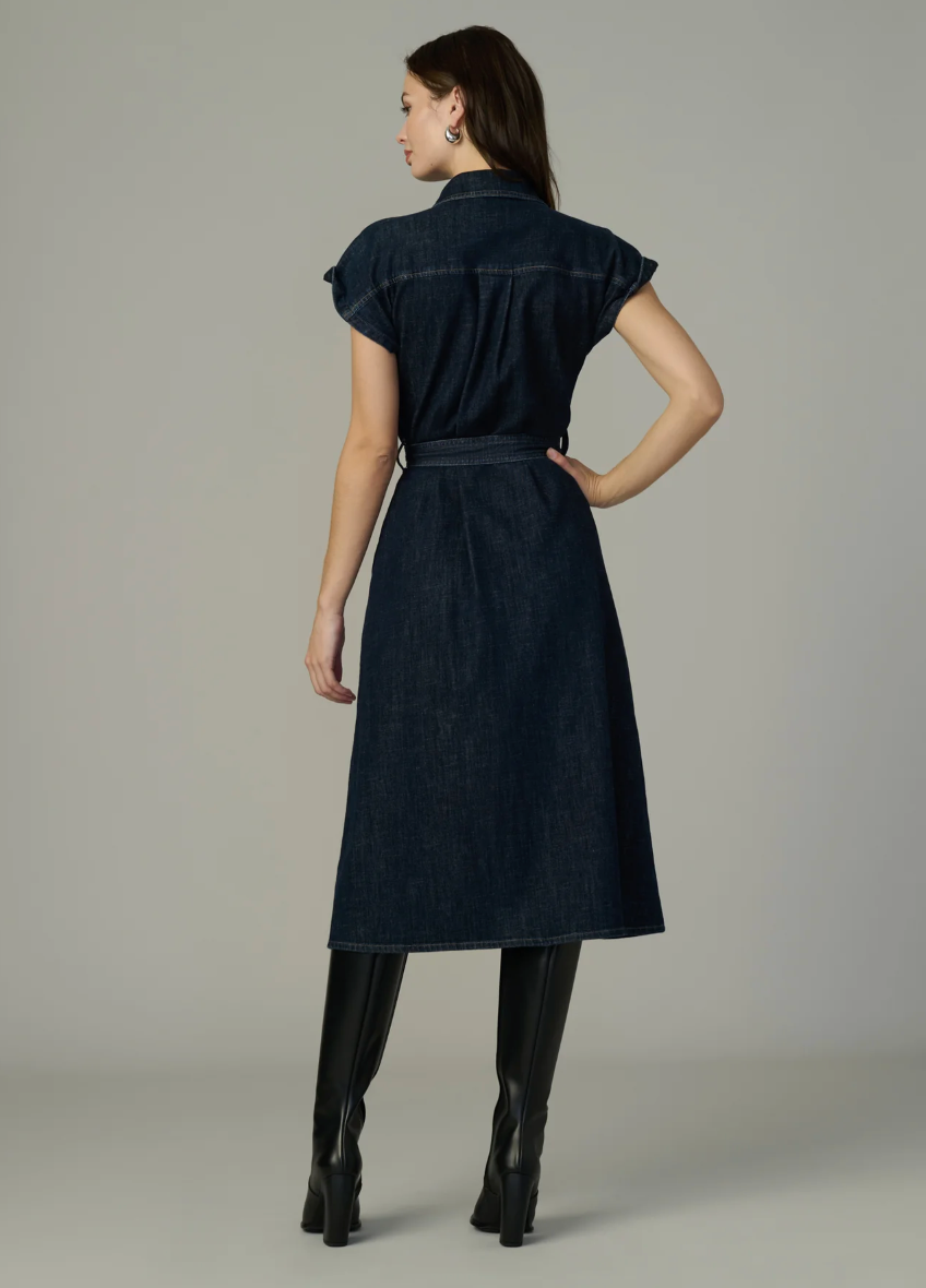 The Lexi Denim Dress