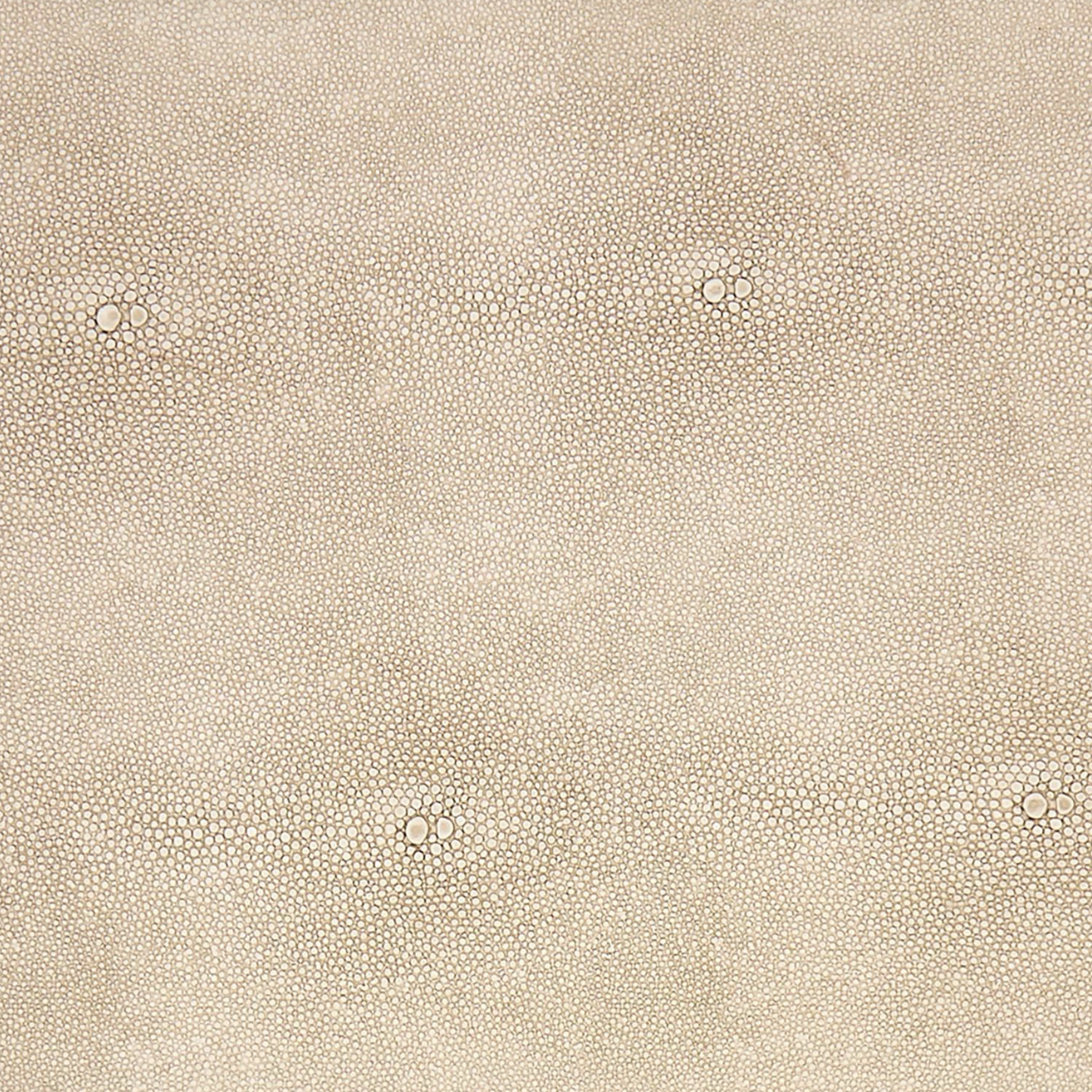 Brussels Cream Shagreen Boxes