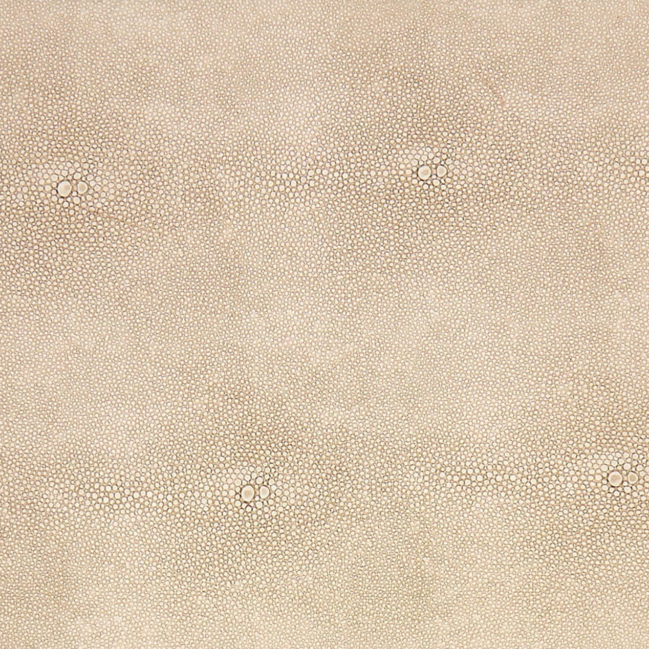 Brussels Cream Shagreen Boxes