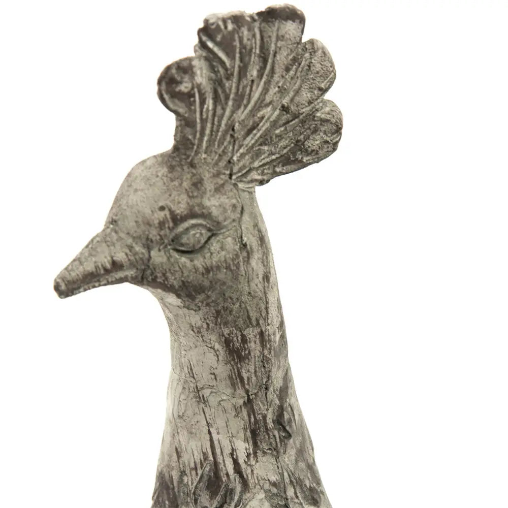 Resin Peacock Statue