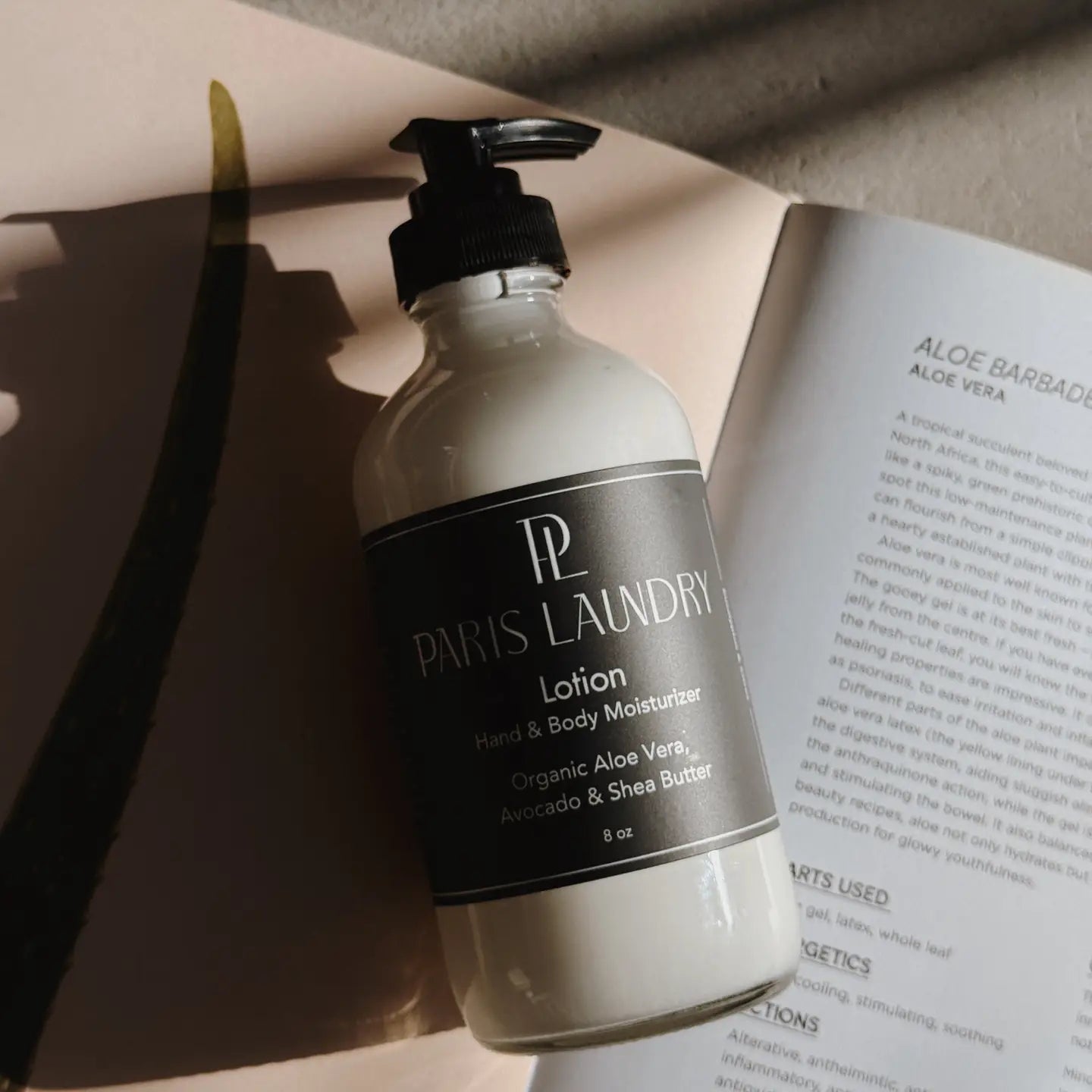 Lotion - Hand & Body Moisturizer