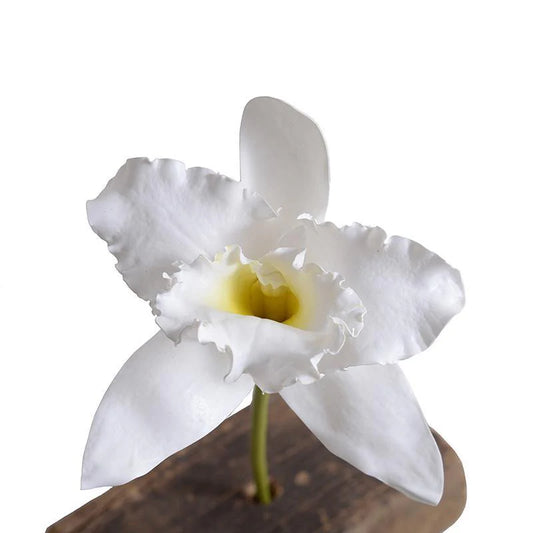 Faux Cattleya Orchid Flower Stem