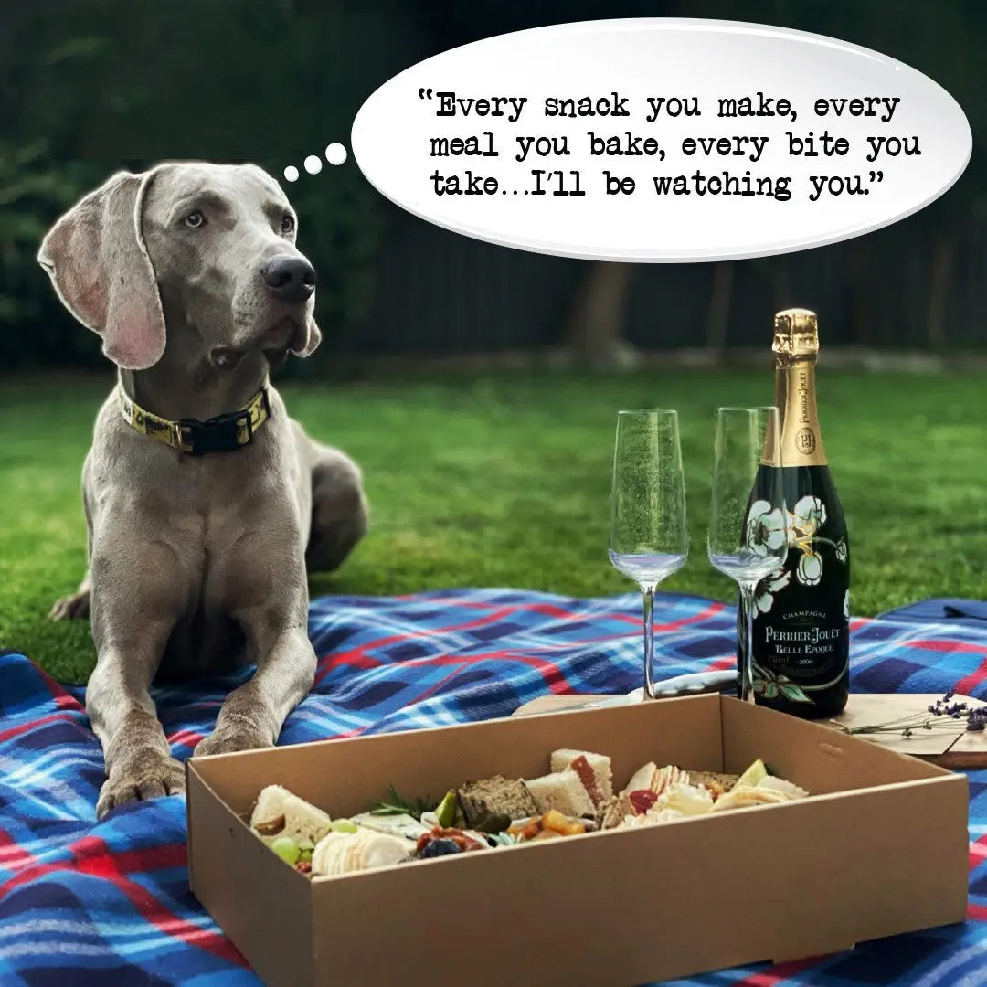 Dog Quotes Cotton Cocktail Napkins