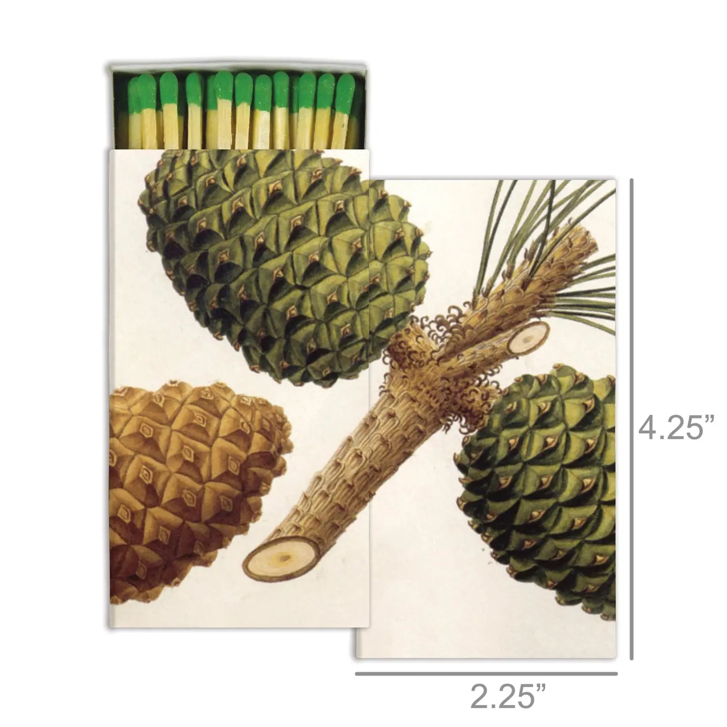 Pinecones Match Box