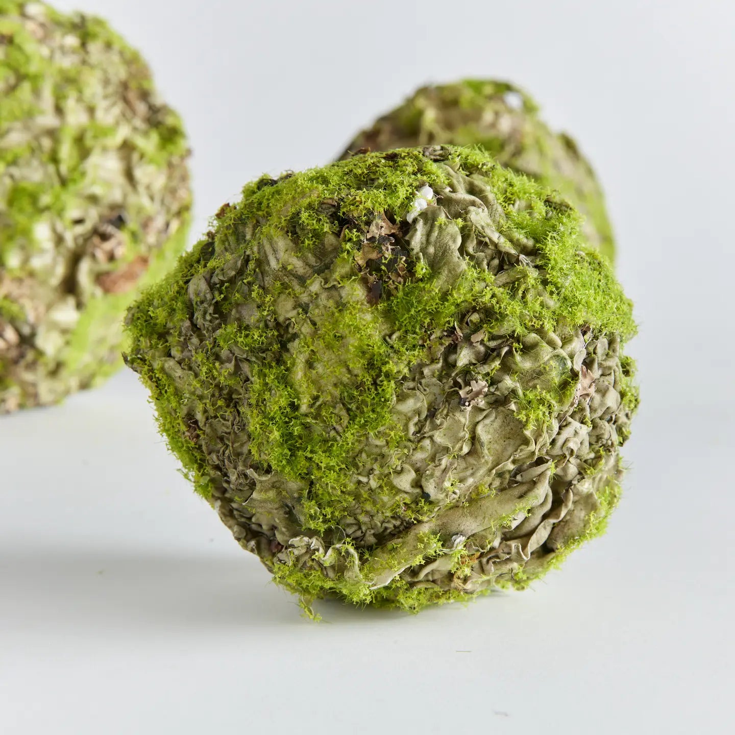 Mossy Lichen Orb