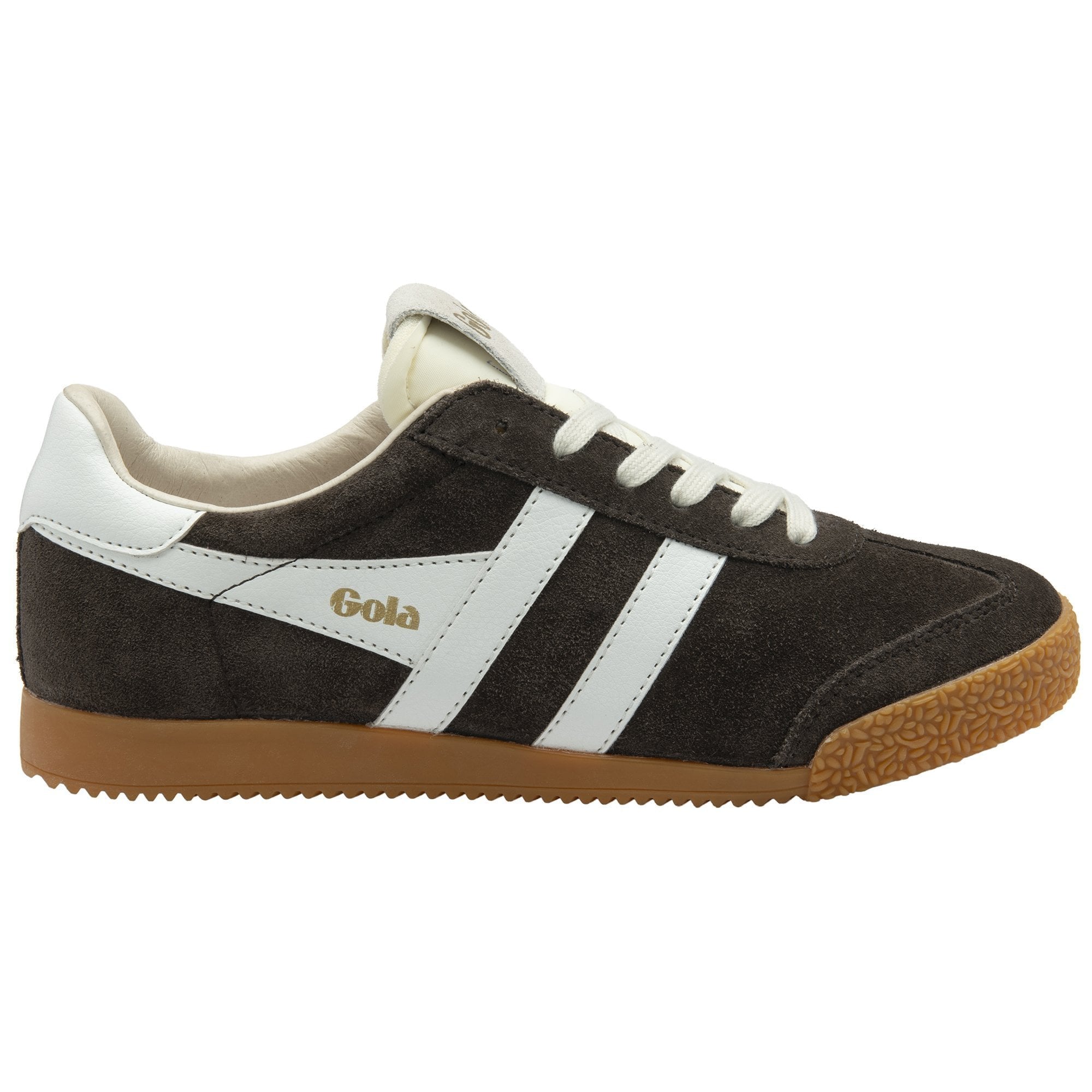 Elan Trainer