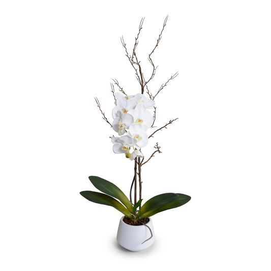 Faux White Phalaenopsis Orchid with Curly Willow in White Pot