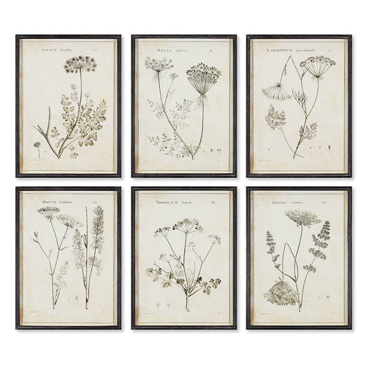 Wildflower Study Art