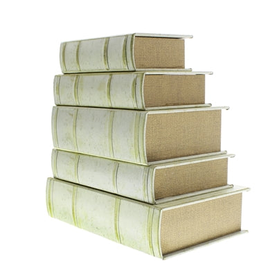 Vellum Book Box - Medium