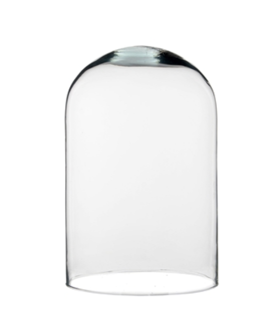 Medium Glass Cloche