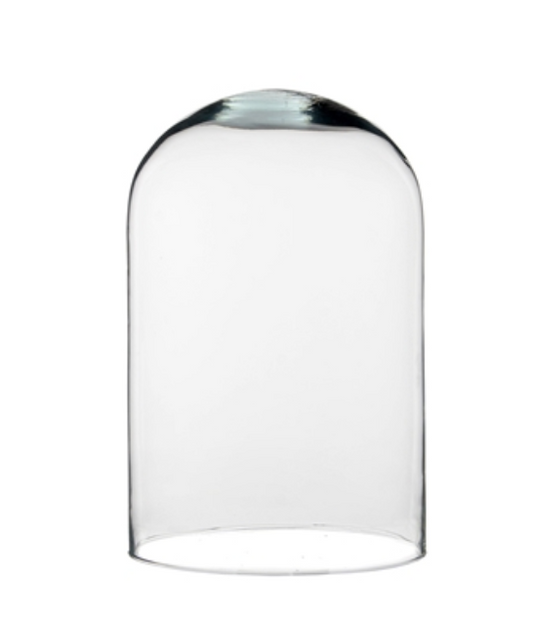 Tall Glass Cloche