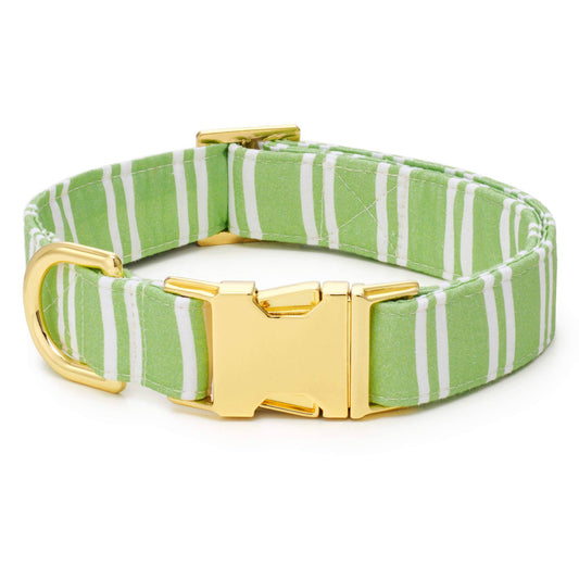 Sprout Stripe Spring Dog Collar